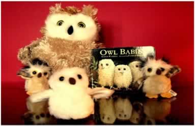 Owls